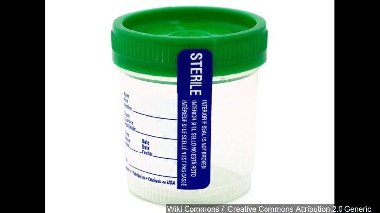 Synthetic Urine In 
      Stores Near Me Georgetown OH 45121
